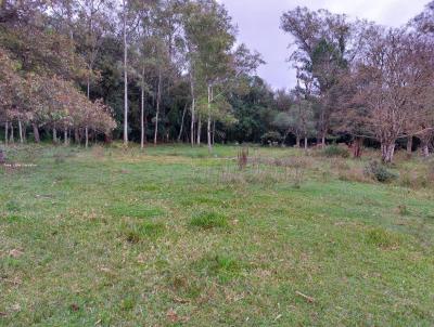 rea para Venda, em Farroupilha, bairro Linha Amadeu