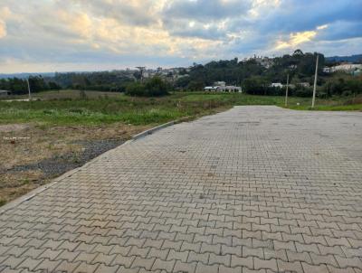 Terreno para Venda, em , bairro Monte Verde