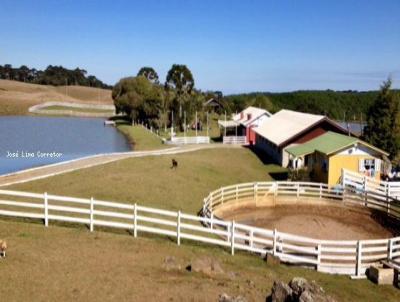 Fazenda para Venda, em So Francisco de Paula, bairro Lajeado Grande