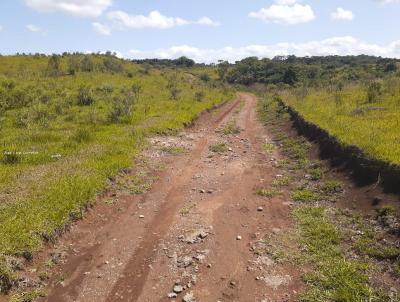 Fazenda para Venda, em Jaquirana, bairro -