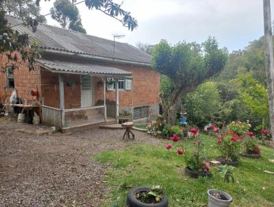 rea para Venda, em Farroupilha, bairro LINHA PALMEIRO