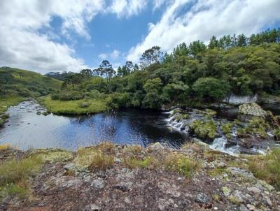 Fazenda para Venda, em Cambar do Sul, bairro -
