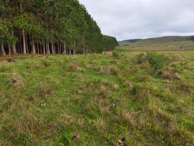 Fazenda para Venda, em So Francisco de Paula, bairro -