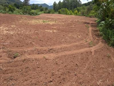 rea Rural para Venda, em Vale Real, bairro -