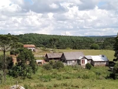 Fazenda para Venda, em So Francisco de Paula, bairro -