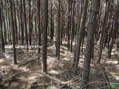 Fazenda para Venda, em Bom Jesus, bairro -