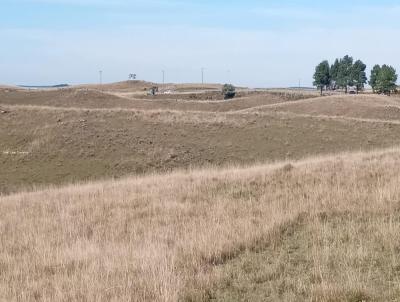 Fazenda para Venda, em So Francisco de Paula, bairro -