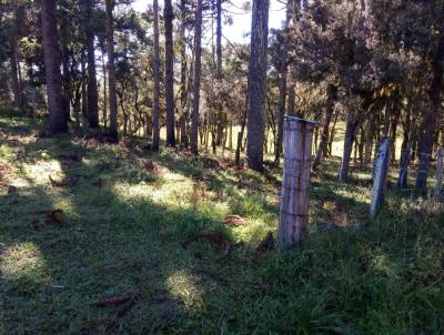 Fazenda para Venda, em So Francisco de Paula, bairro -