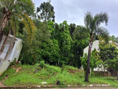 Terreno para Venda, em Farroupilha, bairro Primeiro de Maio